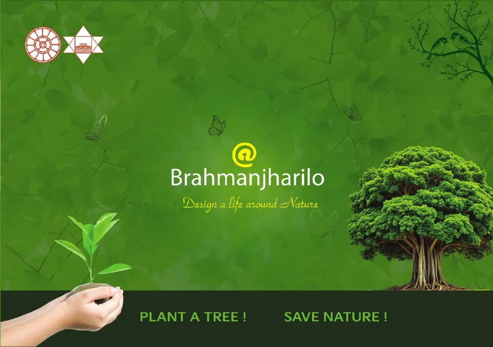 Nature-themed project brochure cover artwork