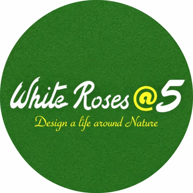 White Roses at 5 — Design a life around Nature